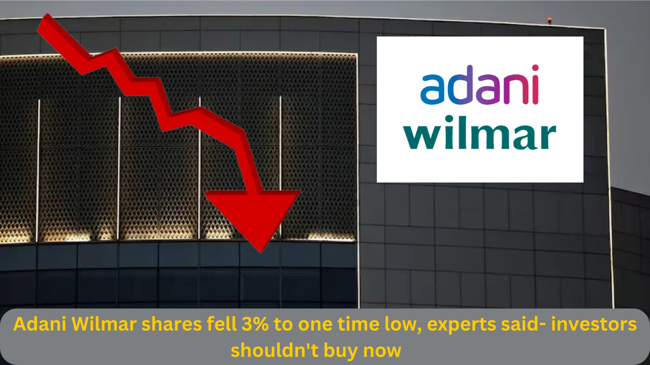 Adani Wilmar shares fell 3%