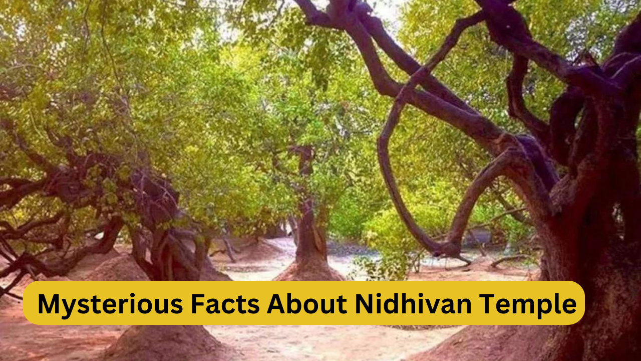 Nidhivan Temple Mysterious Facts